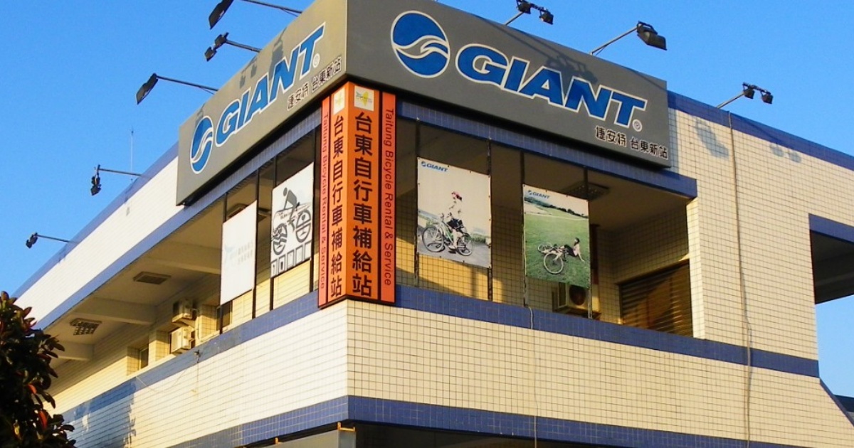 巨大機械（9921）113年報摘要